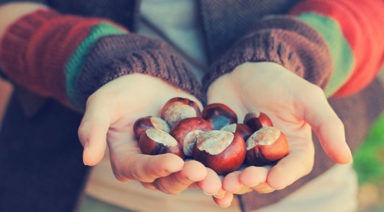 El aroma de las castañas