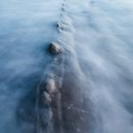 Four Creatures of the Unknown That May Actually Exist