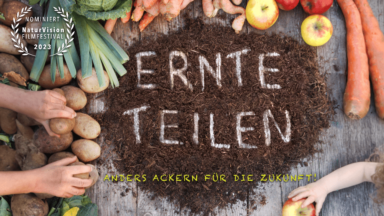 Ernte teilen und die Welt verändern - bist du dabei?