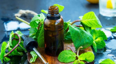 The Essential Oils Guide for Beginners