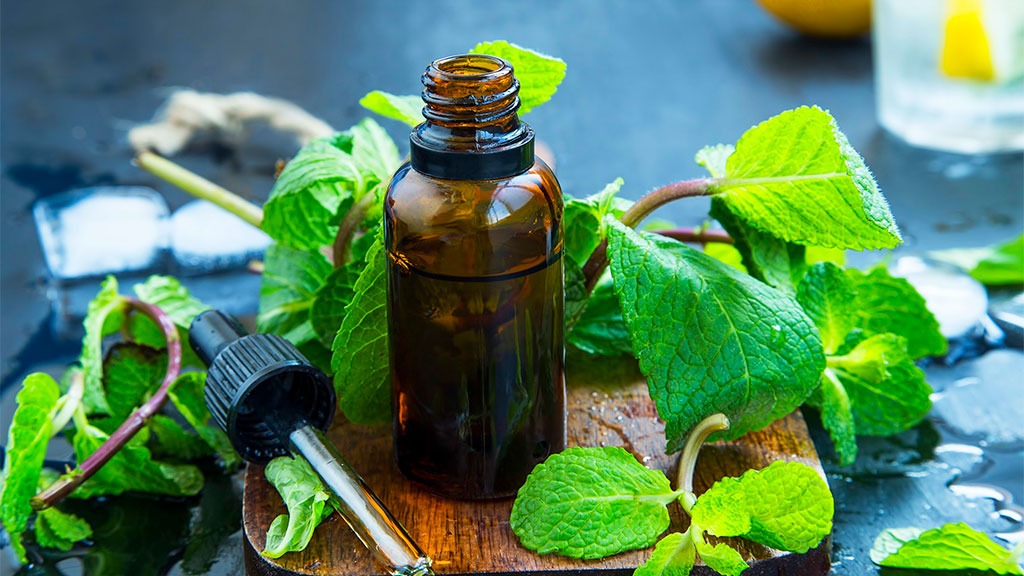 The Essential Oils Guide for Beginners