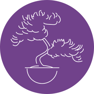 Spiritual Growth Icon