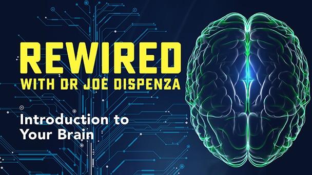 Rewired — Episode 1 — Introduction to Your Brain