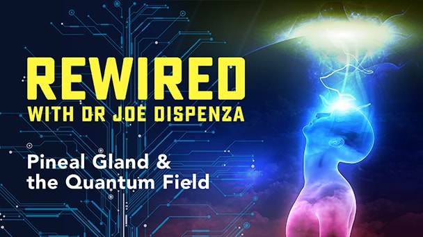 Rewired — Episode 10 — Pineal Gland & the Quantum Field