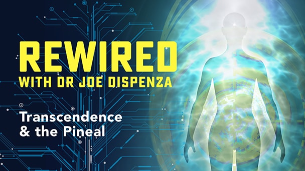 Rewired — Episode 11 — Transcendence & the Pineal