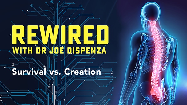 Rewired — Episode 4 — Survival vs. Creation