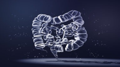 Researchers Find Gut Microbiota and Mental Health Connection