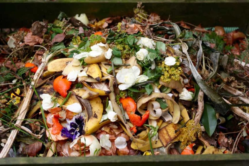 Fresh bio-waste and compost