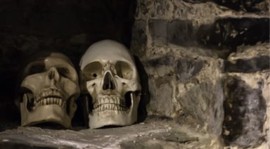 Cavemen Didn't Have Cavities. Why Do We?