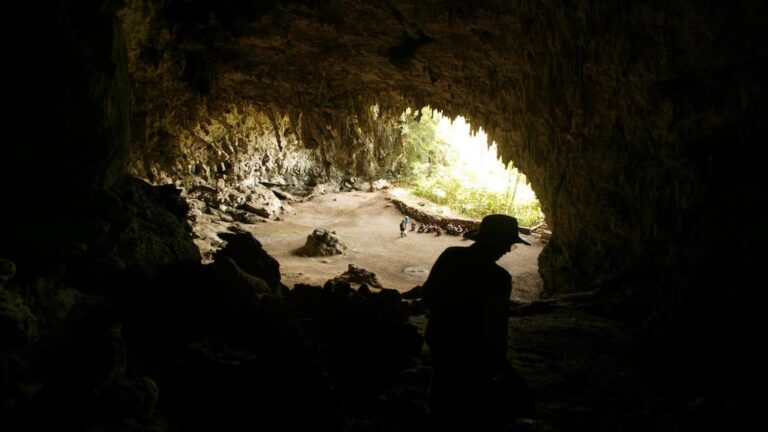 Human ‘Hobbit’ Ancestor May Still Be Alive in Indonesian Jungles