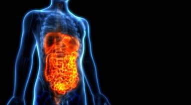 How to Improve Your Second Brain: Your Gut