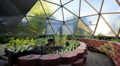 Buckminster Fuller's Spaceship Earth Is More Relevant Than Ever