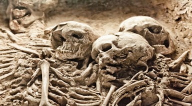 This Conspiracy Claims the Smithsonian Destroys Giant Skeletons