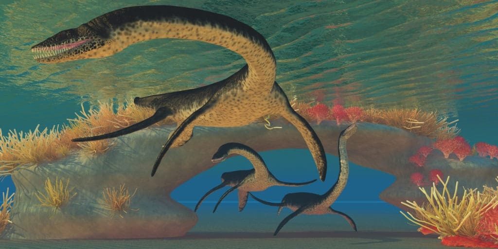 Three Plesiosaurus dinosaurs swim near a natural coral reef bridge in shallow seas