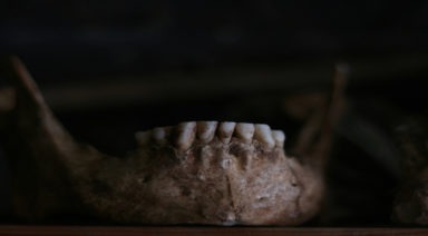 Archeologists Find Another New Human Species in Philippine Cave