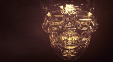 The Legend of Crystal Skulls Emerges From the Mayan Jungle