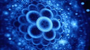 Biorhythms: A Comprehensive Guide to Balancing Biological Rhythms