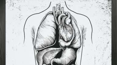 Doctors Discover New Organ in Human Body To Help Treat Cancer