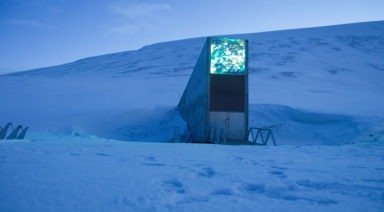 Scientists Want to Build a Doomsday Vault... For Our Gut Bacteria