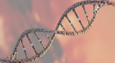 Telomerase May Be The Secret to Anti-Aging