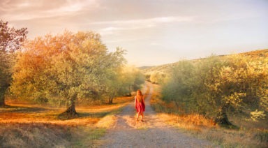 7 Reasons You Can’t Connect with Your Spirit Guides