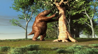 Does the Legendary Mapinguari of South America Exist?