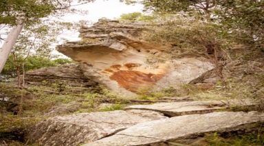 Woman Says She Was Visited by Yowies, The Bigfoot of the Outback
