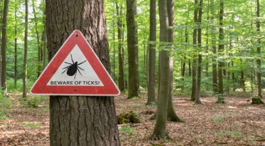 Weaponized Ticks: Is Lyme Disease an Escaped Government Bioweapon?