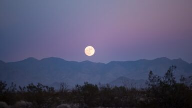 Signo lunar: qué revela tu luna sobre tu mundo emocional