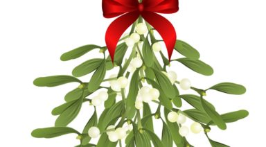 Ancient Mistletoe Could Be the Next Alternative Cancer Treatment