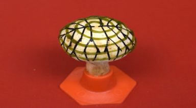 Scientists Used This Mushroom to Generate Electricity From Light