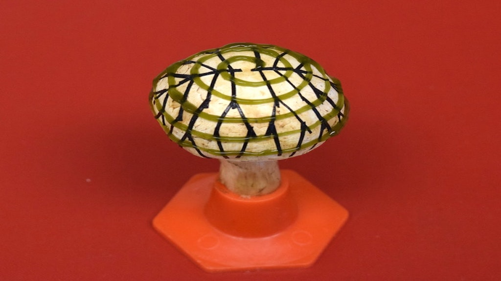 Scientists Used This Mushroom to Generate Electricity From Light Gaia