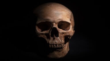 Skull Fragment of Missing Human Species Found in Israel
