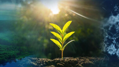 Le Pouvoir caché du ventre : explorez votre conscience et transformez votre vie