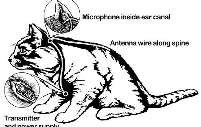 operation acoustic kitty