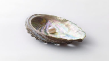 Pearl Metaphysical Properties: A Hidden Gemstone Guide