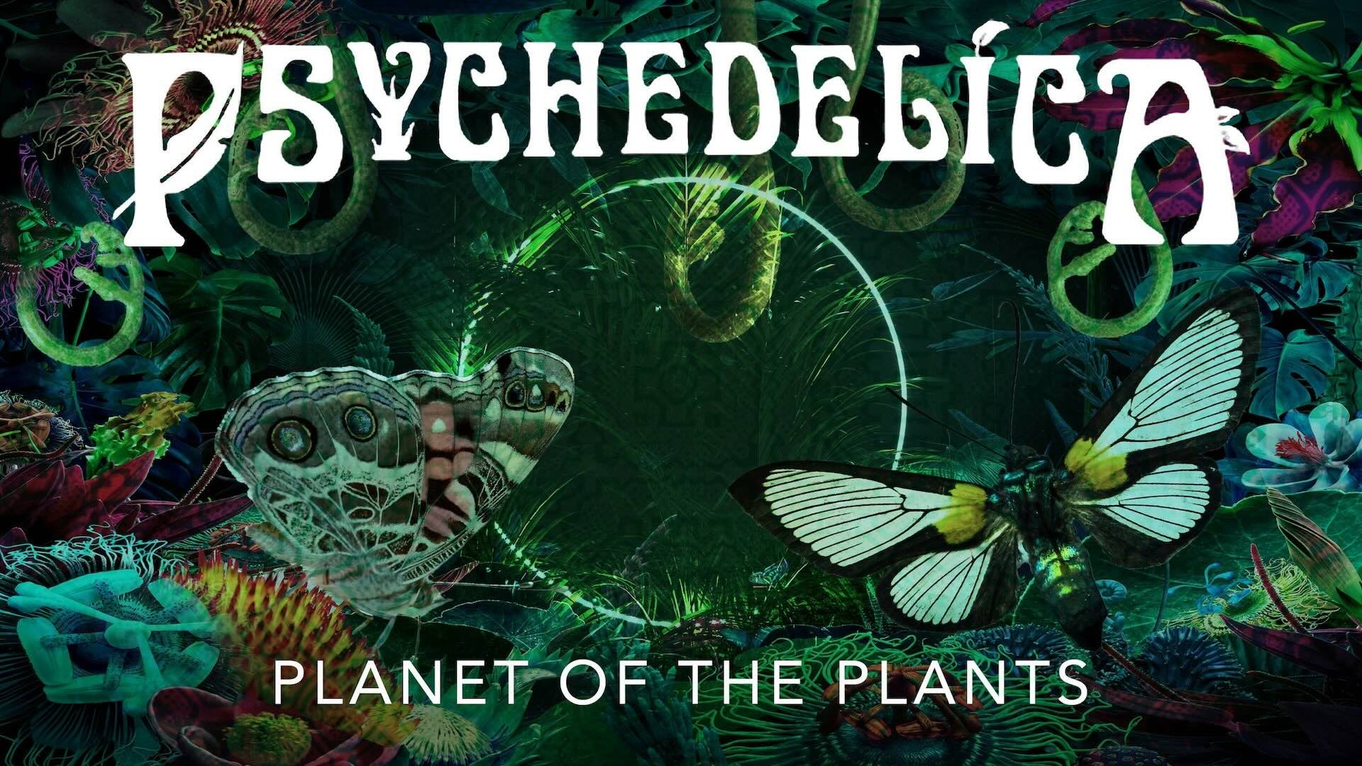 Planet Of The Plants Pineal Gland