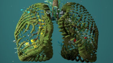 Gaia's Top 10 Videos on Holistic Health and Lifestyle