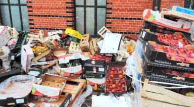 We Can Easily Solve The Problem of Food Waste