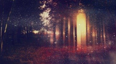 7 Rituale für Samhain