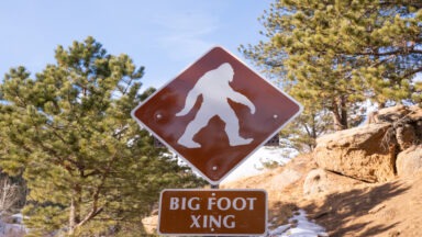 Countless Bigfoot Sightings in Colorado Tracked at Sasquatch Outpost