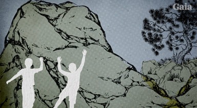 Synchronicity or Animal Guardians?