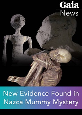 Slider 1 Gaia News Nazca 270x378
