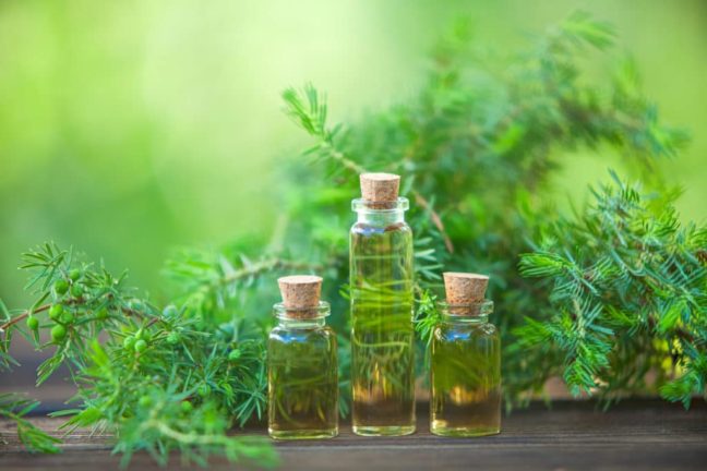 Tea tree oil.