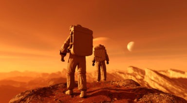 Top 10 Topics to Take You Down the Rabbit Hole