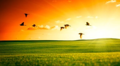 Un presente consciente