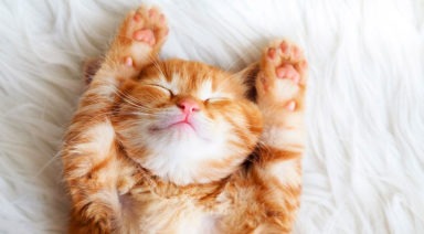 Yoga para dormir bien